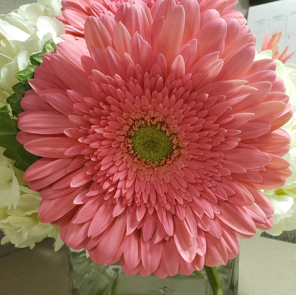 Meet your Posher, Mary - Picture 1 of 1